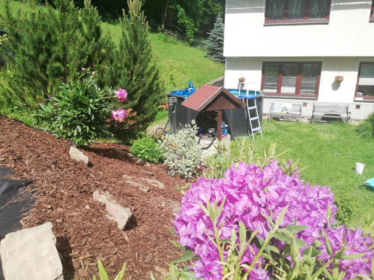 Apartma Gister Ski And Wellnes 捷克布杰约维采 外观 照片