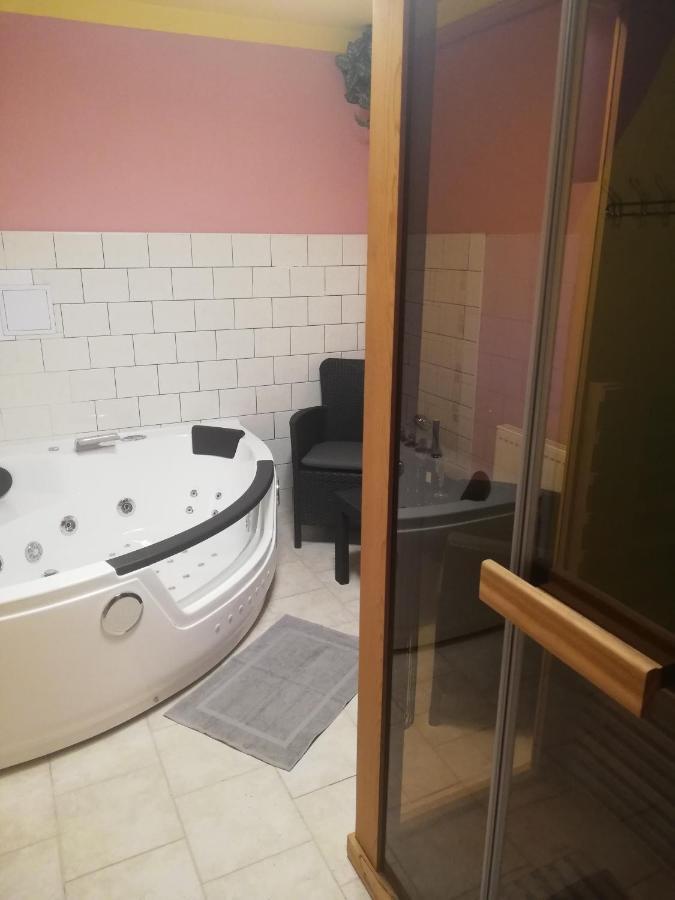 Apartma Gister Ski And Wellnes 捷克布杰约维采 外观 照片